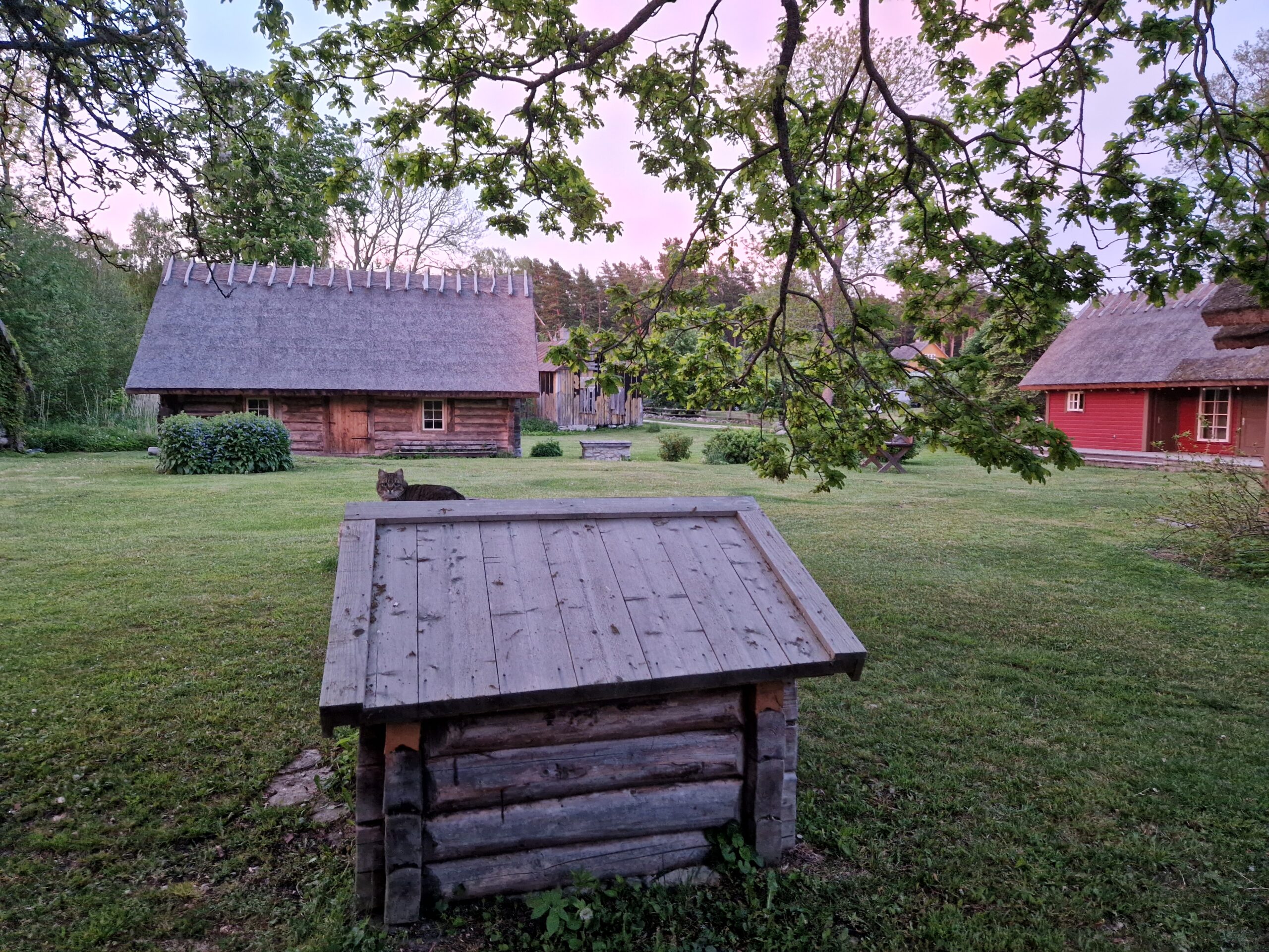 Accommodation